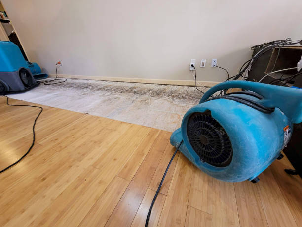 Professional Water Extraction technician working in Heber, UT